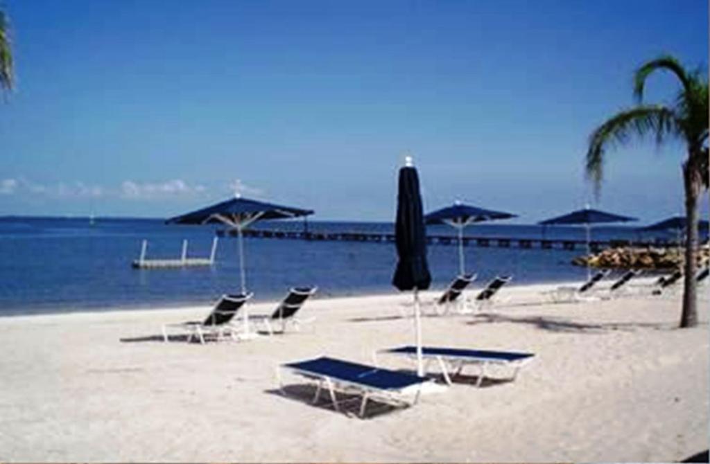 Harborside Suites At Little Harbor Ruskin Zewnętrze zdjęcie